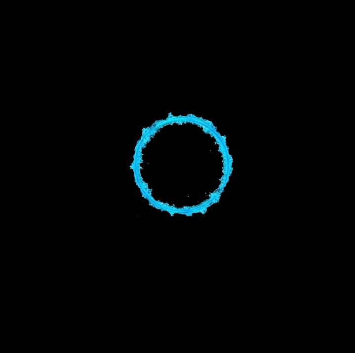 circles of waves | Half sleeve black Tshirt