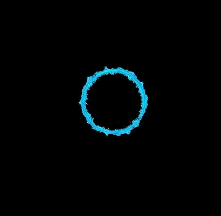 circles of waves |  t-shirt black