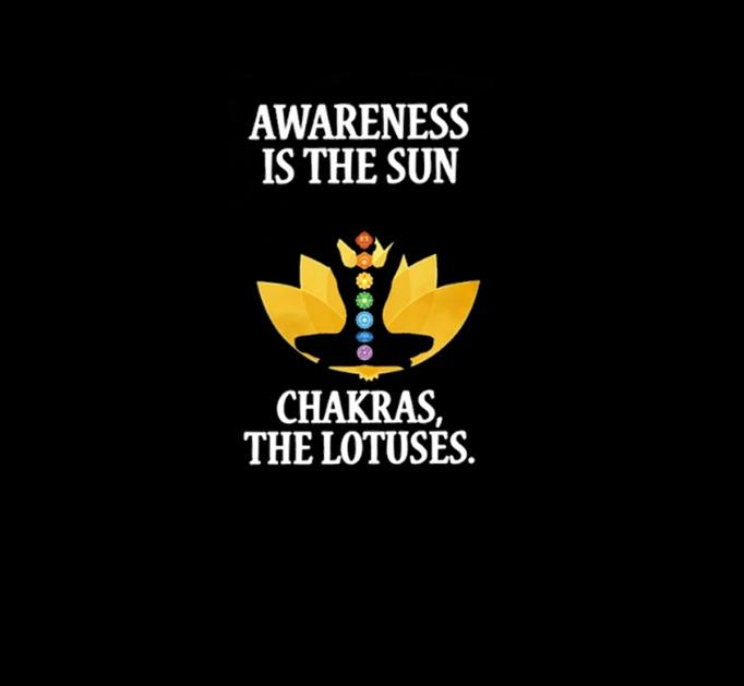 Awareness and chakras | Half sleeve black Tshirt
